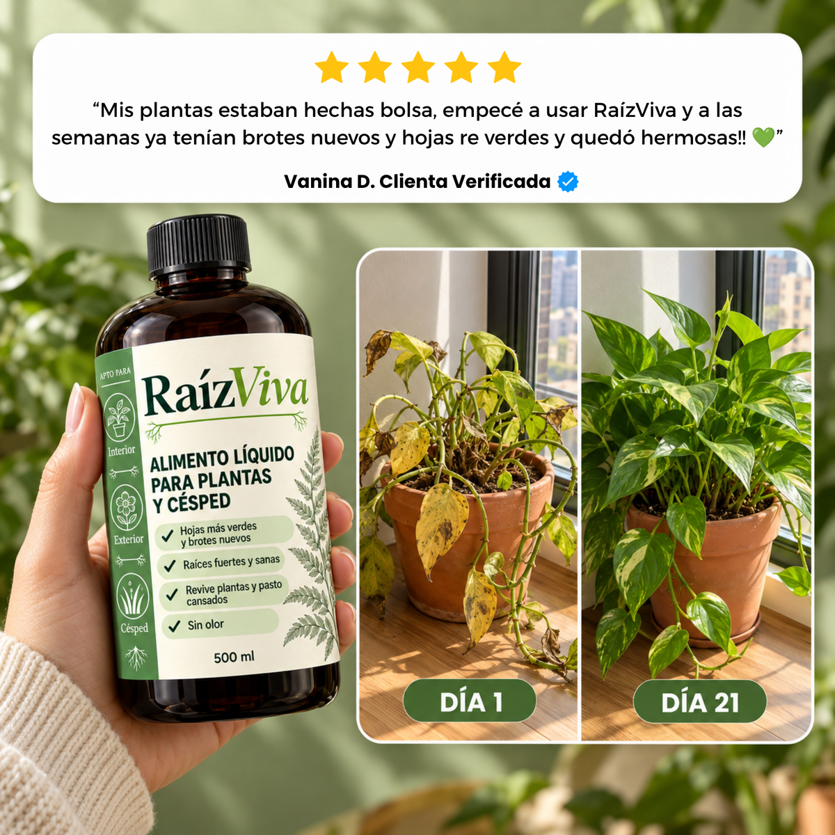 RaízViva - Nutriente líquido para plantas y césped