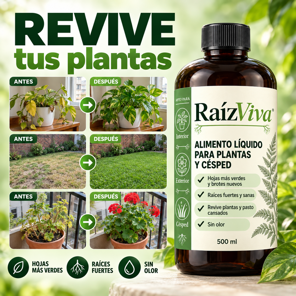 RaízViva - Nutriente líquido para plantas y césped